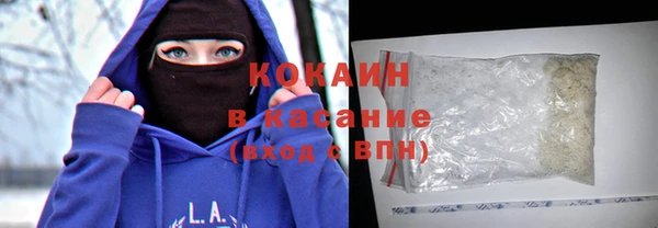 крисы Алзамай