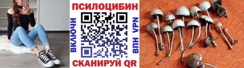 где можно купить наркотик  Отрадная  Псилоцибиновые грибы Psilocybine cubensis 