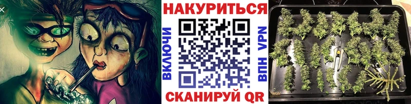 Бошки марихуана ГИДРОПОН  Отрадная 
